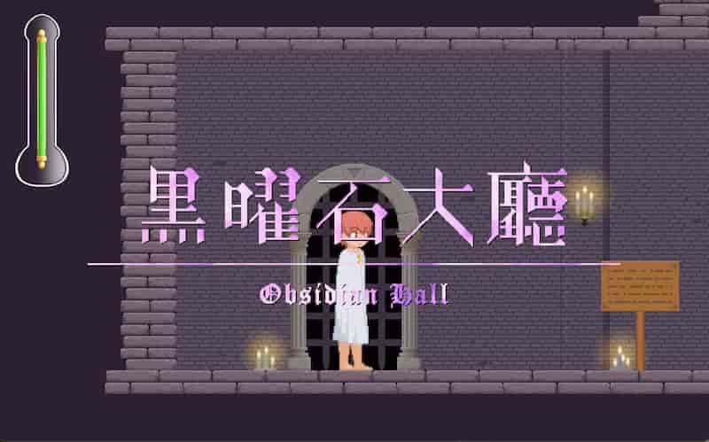 诱惑城堡 V1.1 -Mac游戏/Castle of Temptation for mac【Act/横版/官中/像素/赠windows版】